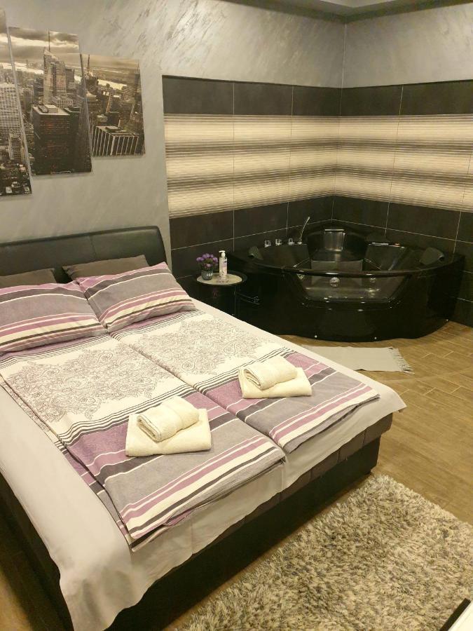 Ceca Apartman Ni 客房 照片